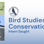 Intern Sought Header Image