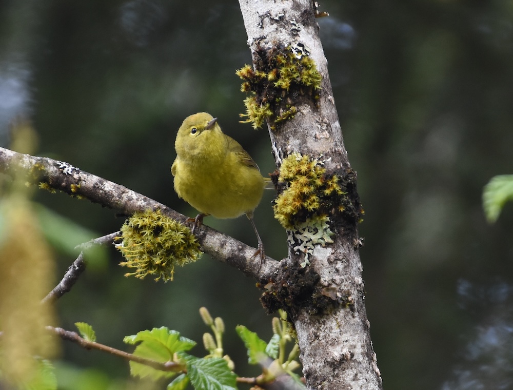 Photo Credit: Gwen Baluss