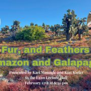 Fins, Fur, and Feathers of the Amazon and Galapagos