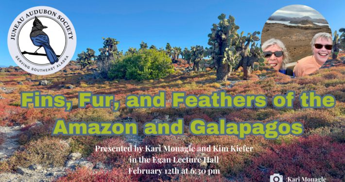 Fins, Fur, and Feathers of the Amazon and Galapagos