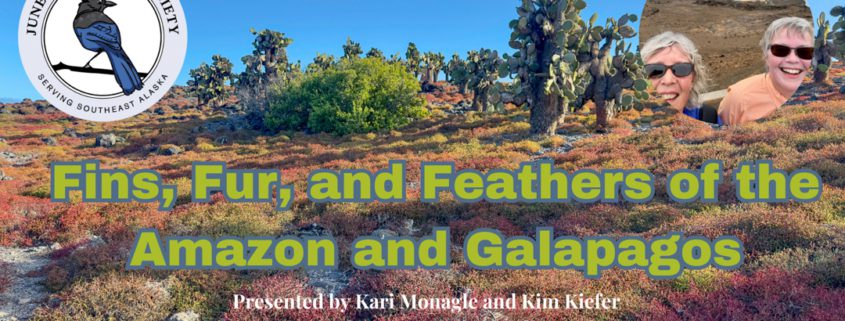 Fins, Fur, and Feathers of the Amazon and Galapagos