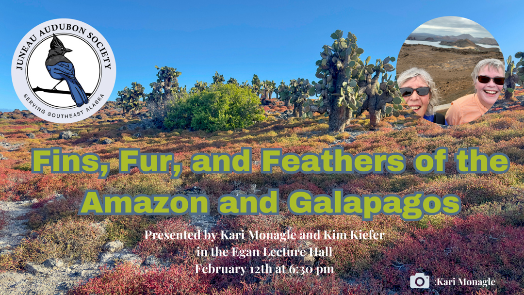 Fins, Fur, and Feathers of the Amazon and Galapagos