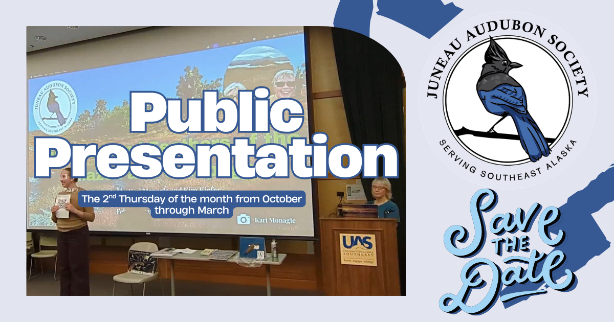 Public Presentation